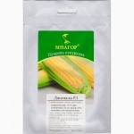 Насіння цукрової кукурудзи ТМ Мнагор, SH2-тип, цукор від 20%, гібриди від 68 до 80 днів