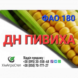 Насіння кукурудзи - ДН ПИВИХА (ФАО 180) від ТОВ ХімАгроСтеп