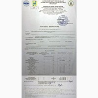 Зерно Спельты Органической, 0.5кг, сертификат