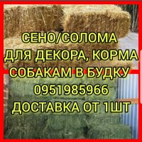 БЕСПЛАТНАЯ доставка сена люцерны, лугового, соломы в тюках. Есть б.н. расчёт