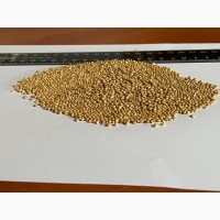 Продам Просо насіння/Семена Просо/99.8%/Біла Альтанка/Белая Альтанка
