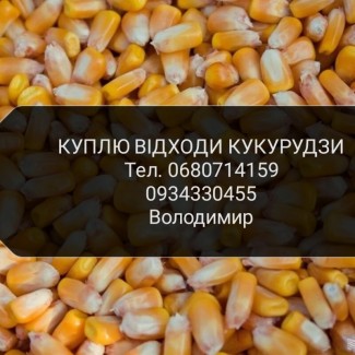 Закуповуємо відходи кукурудзи (ділові)