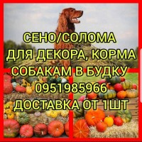 Солома сено сіно для ДЕКОРА в тюках мешках, для утепления вольера, для корма