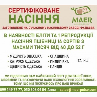 Сертифіковане насіння пшениці (еліти та 1 репродукції)