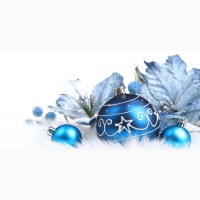 Тур Закарпатье на выходные Новый год, тур в Закарпатье на Рождество из Киева