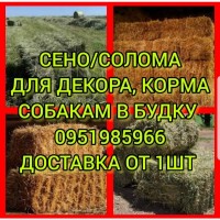 Сіно в тюках, сіно в мешках для собак на подстилку, для корма, декорации помещений