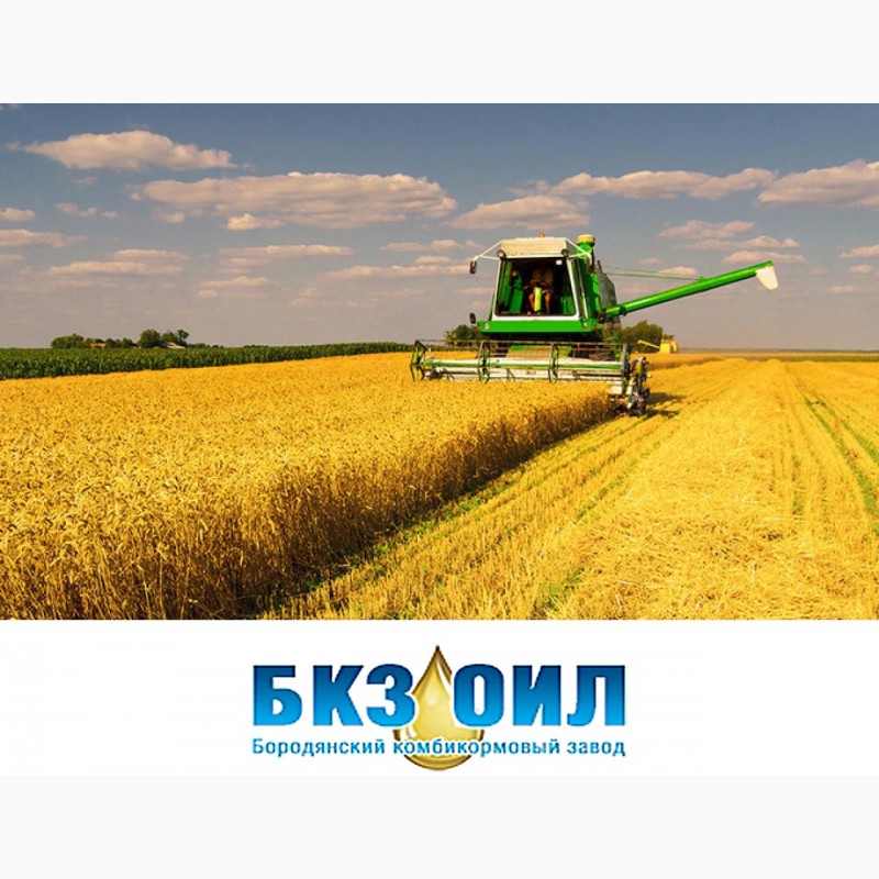 Фото 3. Куплю пшеницу фуражную с поля, хозяйства, элеватора. Самовывоз