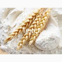 Продам борошно пшеничне вищого гатунку