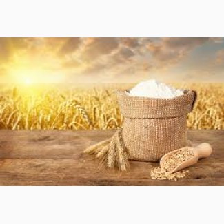 Продам борошно пшеничне першого гатунку
