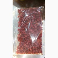 Продаем Красный Барбарис мелким и крупным оптом от 10 кг