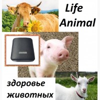 Лечение кошки, собаки, коровы устройством Life Animal 4 мощности|АКЦИЯ: кешбэк 10%