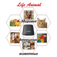 Лечение кошки, собаки, коровы устройством Life Animal 4 мощности|АКЦИЯ: кешбэк 10%
