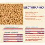 Продам посевмат озимой пшеницы, сорт Шестопаловка, 2 репродукция, Днепропетровская обл