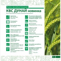 Продам насіння озимого Ячменю сорт КВС Дунай