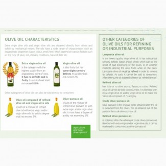 Продаем оливковое масло напрямую из Испании