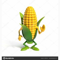 Закупаем кукурузу в Полтавской обл