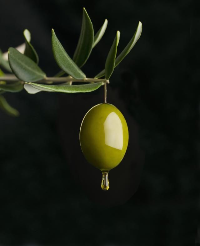 Фото 3. Продаю 100% оливкову олію холодного віджиму