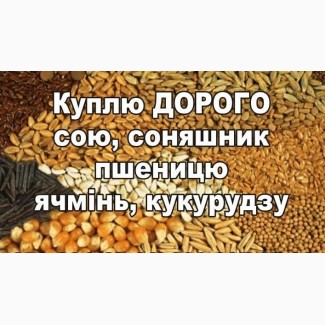 Закупівля зернових за високими цінами