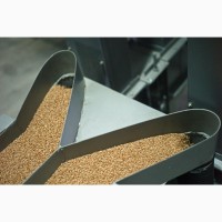 Очищення зерна до 99.5% на МПО (решета) + КВ2 (калібрування), на вібропневмостолі