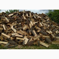 Продаж твердого палива дрова в Горохові недорого