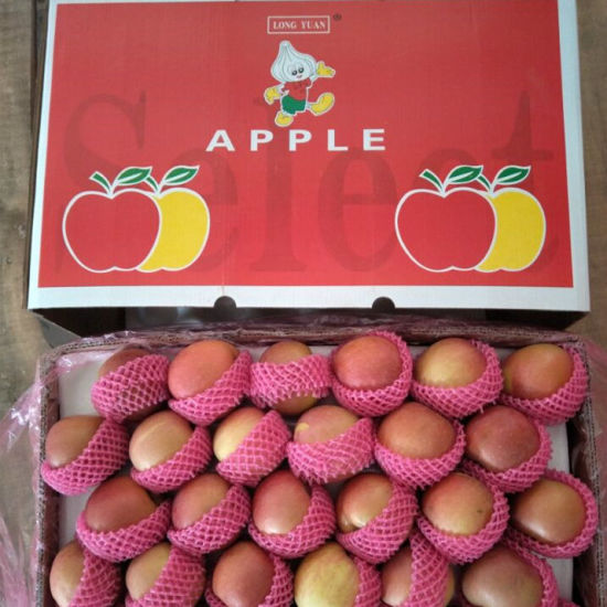Фото 2. Китаянка свіжий FUJI яблуко