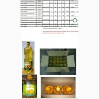 Подсолнечное масло рафинированое наливное и фасованое от производителя с 100 тонн