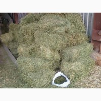 Гранулированное сено люцерны в мешках (30кг) с доставкой