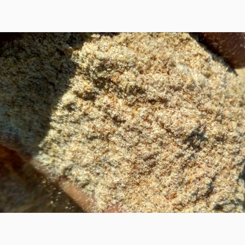 Фото 2. Мучка пшеничная, отруби ячменные оптом