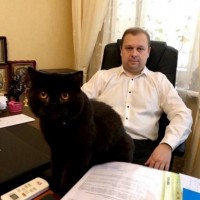Адвокат по ДТП в Киеве. Услуги адвоката в Киеве