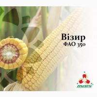 Семена кукурузы Визир, ФАО 350