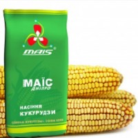 Семена кукурузы ДМС 4011, ФАО 400