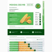 Семена кукурузы МОНИКА ФАО 350 АПК МАИС Черкасы