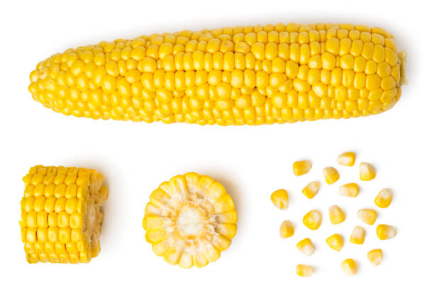 Фото 2. Продам насіння кукурудзи