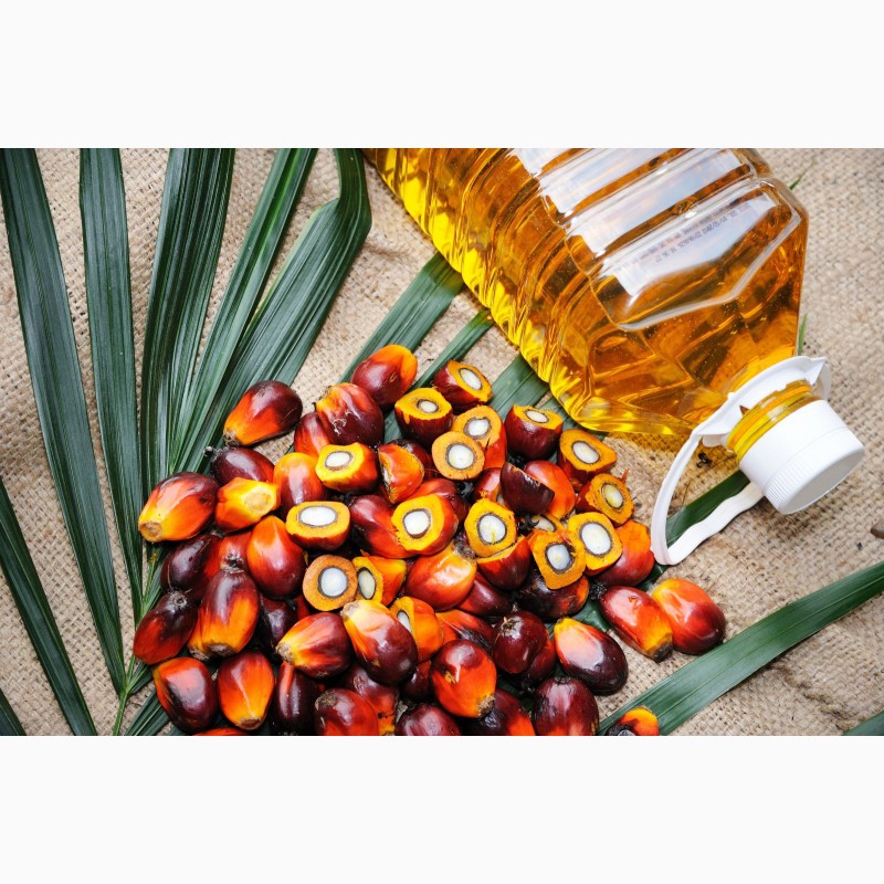 Фото 2. Рафинированное подсолнечное, кокосовое масло, пальмовое масло, соевое