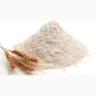 Продам муку из твердых cортов пшеницы (100% Durum). ТМ Амина