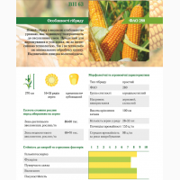 Семена кукурузы ВН 63 (ФАО 280) ВНИС (бесплатная доставка) 2320 грн/мешок