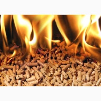 Польская фирма закупает топливные древесные гранулы
