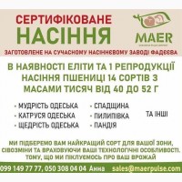 Продаж сертифікованого насіння пшениці