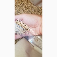 Семена сои ABEE Канадский трансгенный сорт (элита)