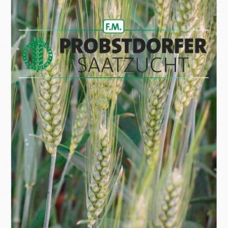 Семена озимой пшеницы Галлио, Адессо, Роланд (Австрия)