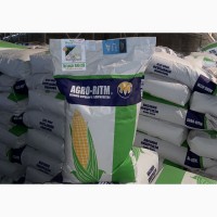 Семена кукурузы гибрид АР 18101 К, Агро - Ритм