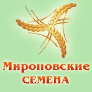 Семена озимой пшеницы сорт КОЛОНИЯ; Скаген, 1 репродукция