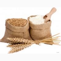 Куплю пшеницу в Херсоне и области