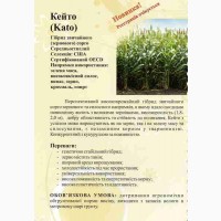 Семена зернового сорго Кейто (Kato), 115-125 дней