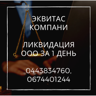 Экспресс-ликвидация ООО Киев. Ликвидируем предпритие путем смены директора