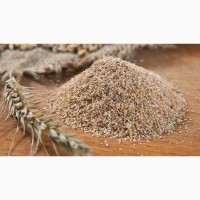 Компания продает оптом пшеничные отруби