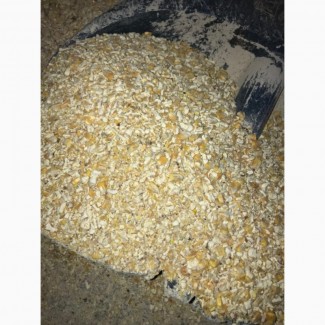 Кукурузу неклассную с повышенной зерновой
