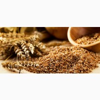 ПРОДАЖА: зерновые и масличные культуры