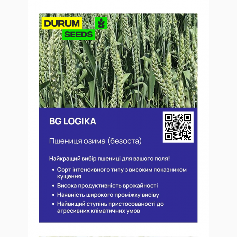 Фото 3. Насіння пшениці Durum Seeds - Оригінатор - Biogranum ( Сербія )