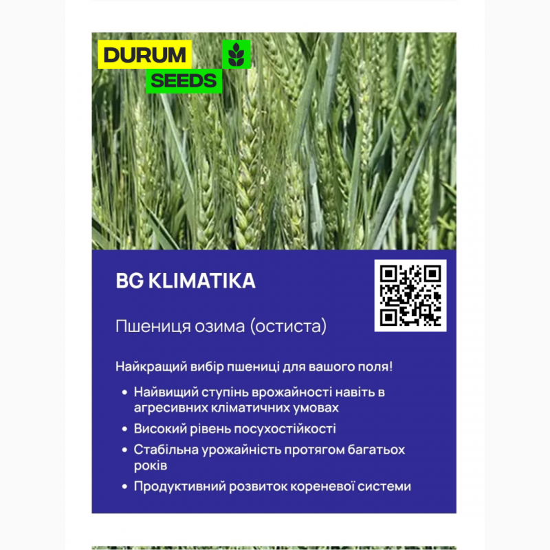 Фото 7. Насіння пшениці Durum Seeds - Оригінатор - Biogranum ( Сербія )
